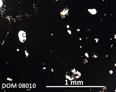 DOM 08010 Meteorite Thin Section Photo with 5x magnification in Plane-Polarized Light