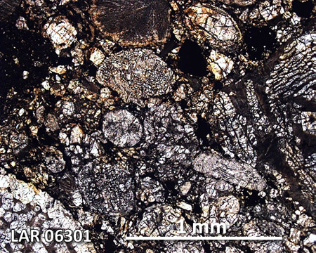 LAR 06301 Meteorite Thin Section Photo with 5x magnification in Plane-Polarized Light