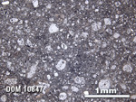 Thin Section Photo of Sample DOM 10847 in Reflected Light with 2.5X Magnification