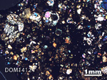 Thin Section Photo of Sample DOM 14124 in Cross-Polarized Light with 1.25X Magnification