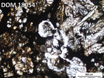 Thin Section Photo of Sample DOM 18054 in Plane-Polarized Light with 5X Magnification