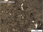 Thin Section Photo of Sample DOM 18054 in Reflected Light with 5X Magnification