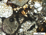 Thin Section Photo of Sample DOM 18420 in Plane-Polarized Light with 5X Magnification