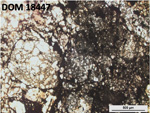 Thin Section Photo of Sample DOM 18447 in Plane-Polarized Light with 5X Magnification