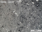 Thin Section Photo of Sample DOM 18447 in Reflected Light with 5X Magnification
