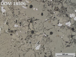 Thin Section Photo of Sample DOM 18506 in Reflected Light with 5X Magnification