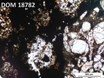 Thin Section Photo of Sample DOM 18782 in Plane-Polarized Light with 5X Magnification