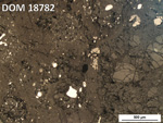 Thin Section Photo of Sample DOM 18782 in Reflected Light with 5X Magnification
