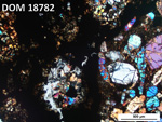 Thin Section Photo of Sample DOM 18782 in Cross-Polarized Light with 5X Magnification