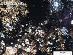 Thin Section Photo of Sample DOM 18795 in Plane-Polarized Light with 5X Magnification