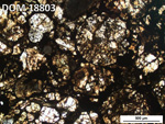 Thin Section Photo of Sample DOM 18803 in Plane-Polarized Light with 5X Magnification