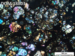 Thin Section Photo of Sample DOM 18803 in Cross-Polarized Light with 5X Magnification