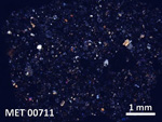 Thin Section Photo of Sample MET 00711 in Cross-Polarized Light with  Magnification