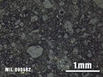 Thin Section Photo of Sample MIL 090482 at 2.5X Magnification in Reflected Light