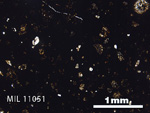 Thin Section Photo of Sample MIL 11051 in Plane-Polarized Light with 2.5x Magnification