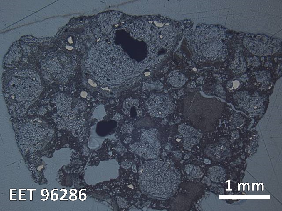 Thin Section Photo of Sample EET 96286 in Reflected Light with  Magnification