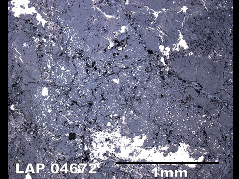 Thin Section Photo of Sample LAP 04672  in Reflected Light