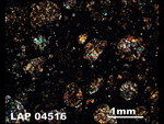 Thin Section Photo of Sample LAP 04516  in Cross-Polarized Light