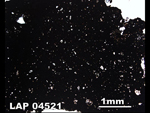 Thin Section Photo of Sample LAP 04521  in Plane-Polarized Light