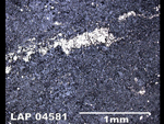 Thin Section Photo of Sample LAP 04581  in Reflected Light