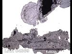 Thin Section Photo of Sample LAR 04369  in Reflected Light