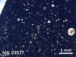 Thin Section Photo of Sample MIL 03377 in Plane-Polarized Light with  Magnification