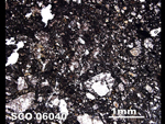 Thin Section Photo of Sample SCO 06040  in Plane-Polarized Light