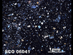 Thin Section Photo of Sample SCO 06041  in Cross-Polarized Light