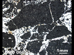 Thin Section Photograph of Sample GRO 06050 in Reflected Light