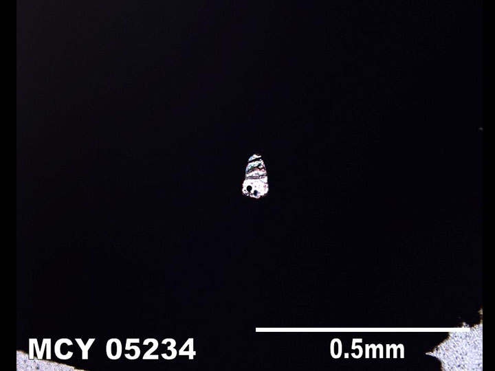 MCY 05234 - Plane-Polarized Light