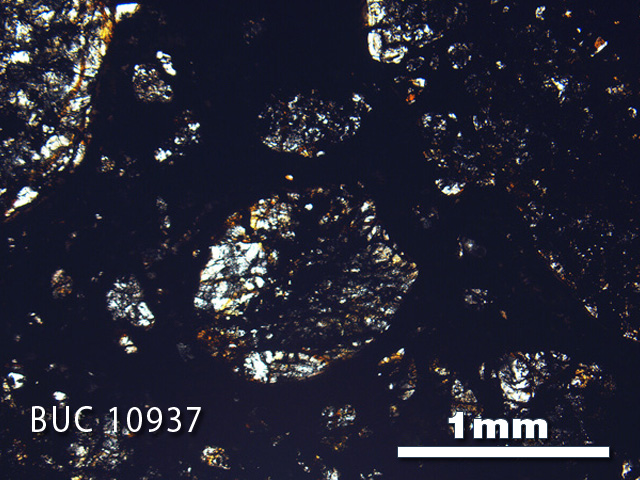 Thin Section Photograph of Sample BUC 10937 in Plane-Polarized Light