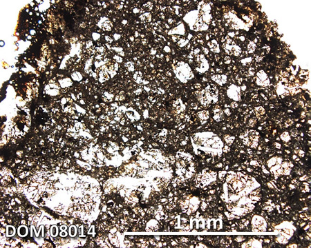 DOM 08014 Meteorite Thin Section Photo with 5x magnification in Plane-Polarized Light