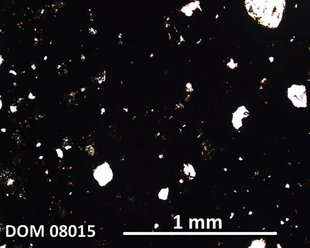 DOM 08015 Meteorite Thin Section Photo with 5x magnification in Plane-Polarized Light
