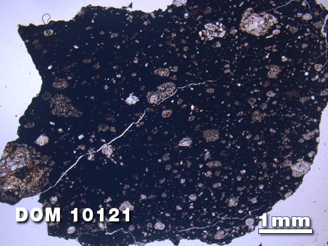 Thin Section Photo of Sample DOM 10121 at 1.25X Magnification in Plane-Polarized Light