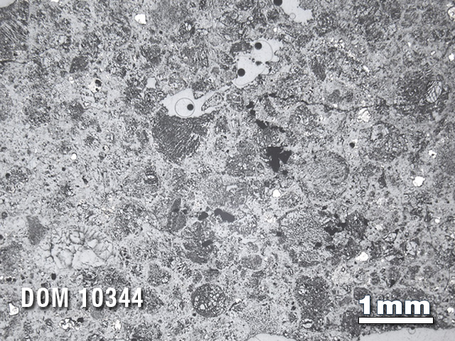 Thin Section Photo of Sample DOM 10344 in Reflected Light with 1.25X Magnification