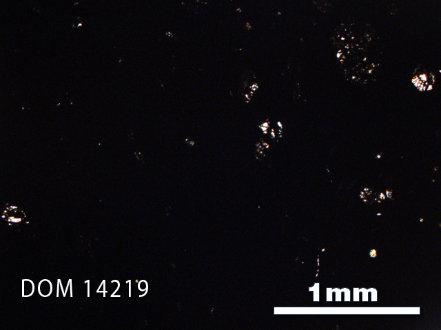 Thin Section Photo of Sample DOM 14219 in Plane-Polarized Light with 2.5X Magnification