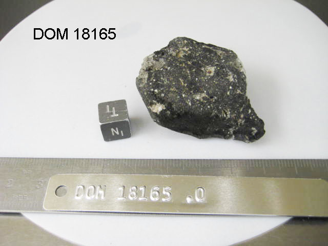 Lab Photo of Sample DOM 18165 Displaying Top North Orientation