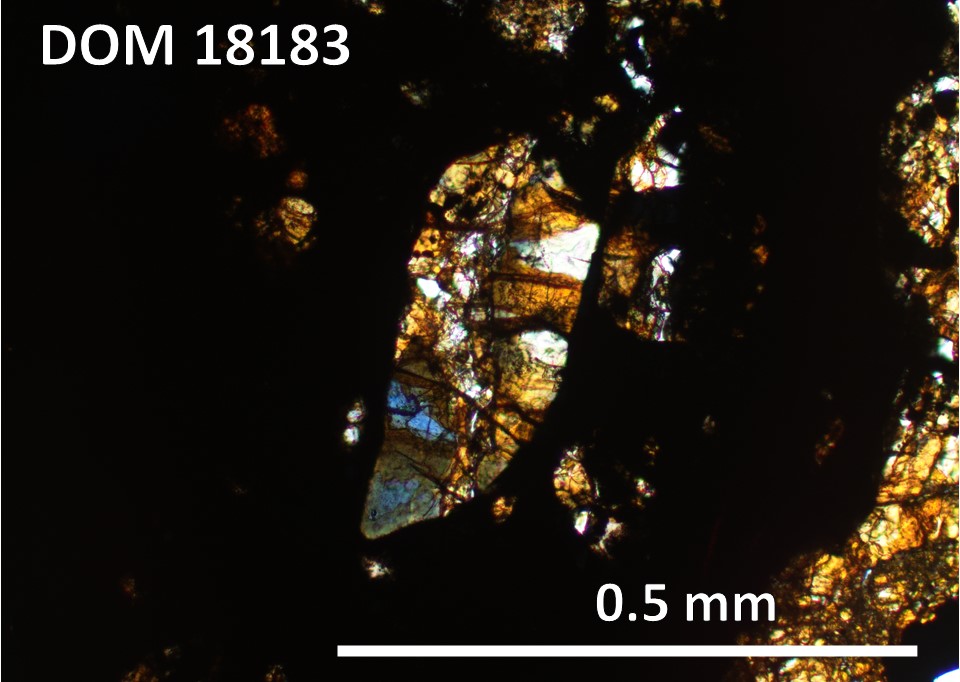Thin Section Photo of Sample DOM 18183,2 at 10x magnification in Plane Polarized Light