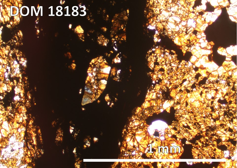Thin Section Photo of Sample DOM 18183,2 at 5x magnification in Plane Polarized Light