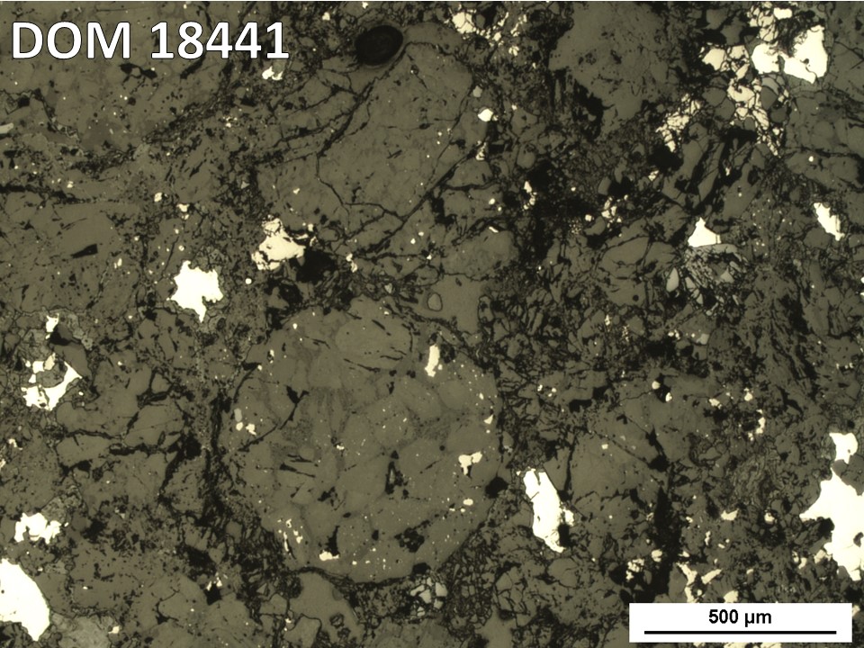 Thin Section Photo of Sample DOM 18441 in Reflected Light with 5X Magnification