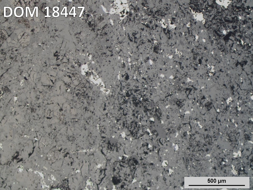 Thin Section Photo of Sample DOM 18447 in Reflected Light with 5X Magnification