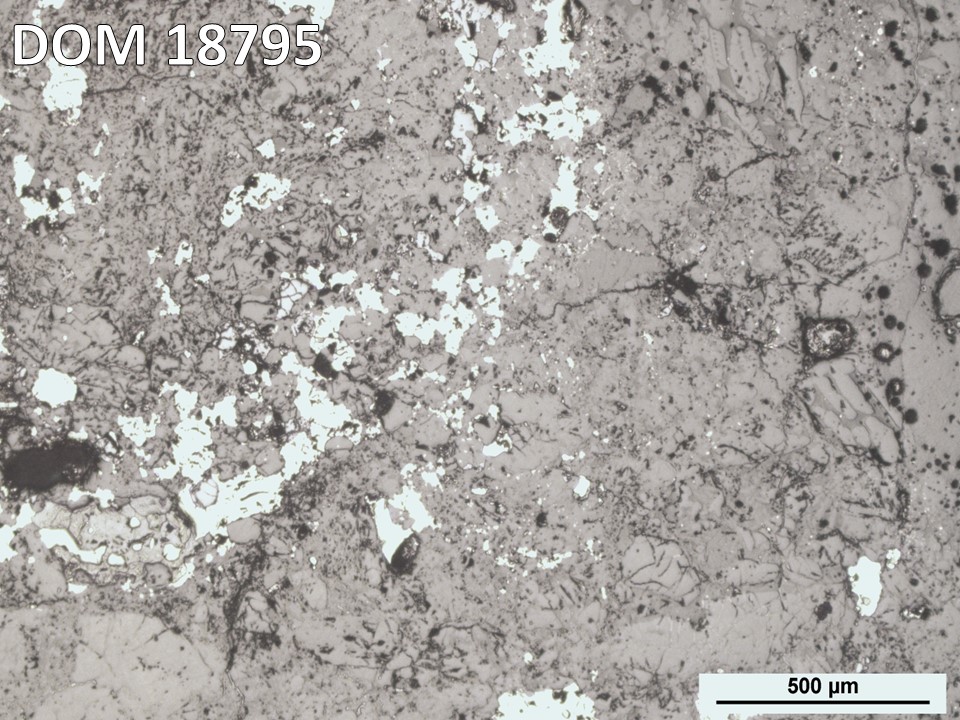 Thin Section Photo of Sample DOM 18795 in Reflected Light with 5X Magnification