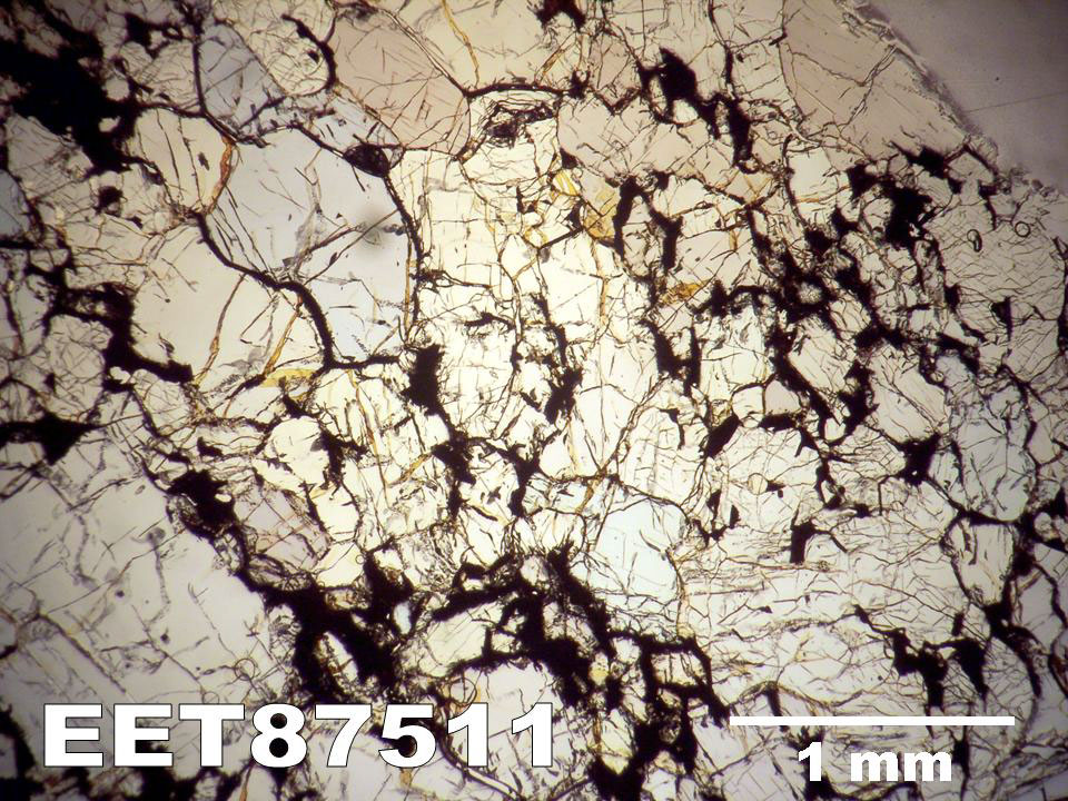 Thin Section Photograph of Sample EET 87511 in Plane-Polarized Light