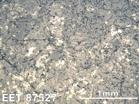 Thin Section Photograph of Sample EET 87527 in Reflected Light