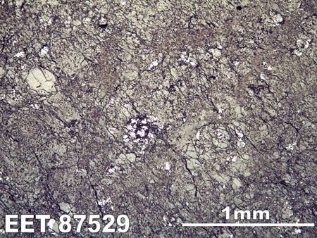 Thin Section Photograph of Sample EET 87529 in Reflected Light