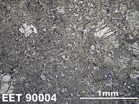 Thin Section Photograph of Sample EET 90004 in Reflected Light