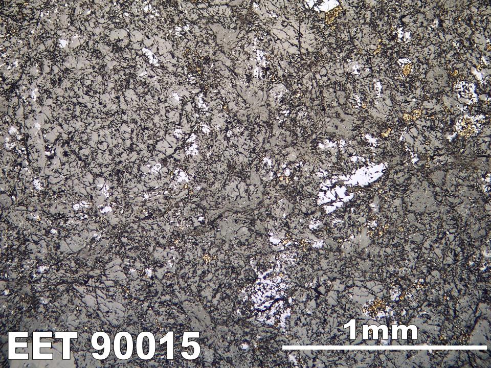 Thin Section Photo of Sample EET 90015 in Reflected Light