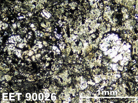 Thin Section Photograph of Sample EET 90026 in Plane-Polarized Light