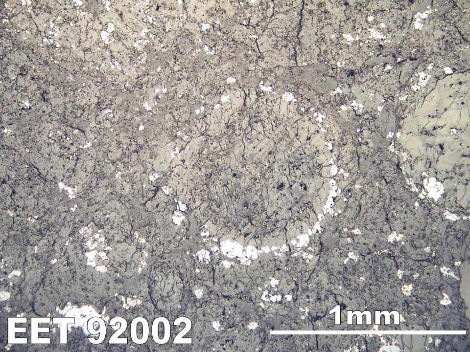 Thin Section Photo of Sample EET 92002 in Reflected Light