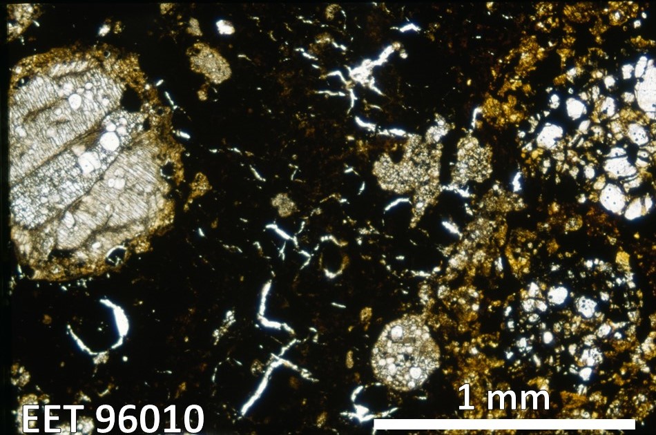 Thin Section Photo of Sample EET 96010 in Plane-Polarized Light with 2.5X Magnification